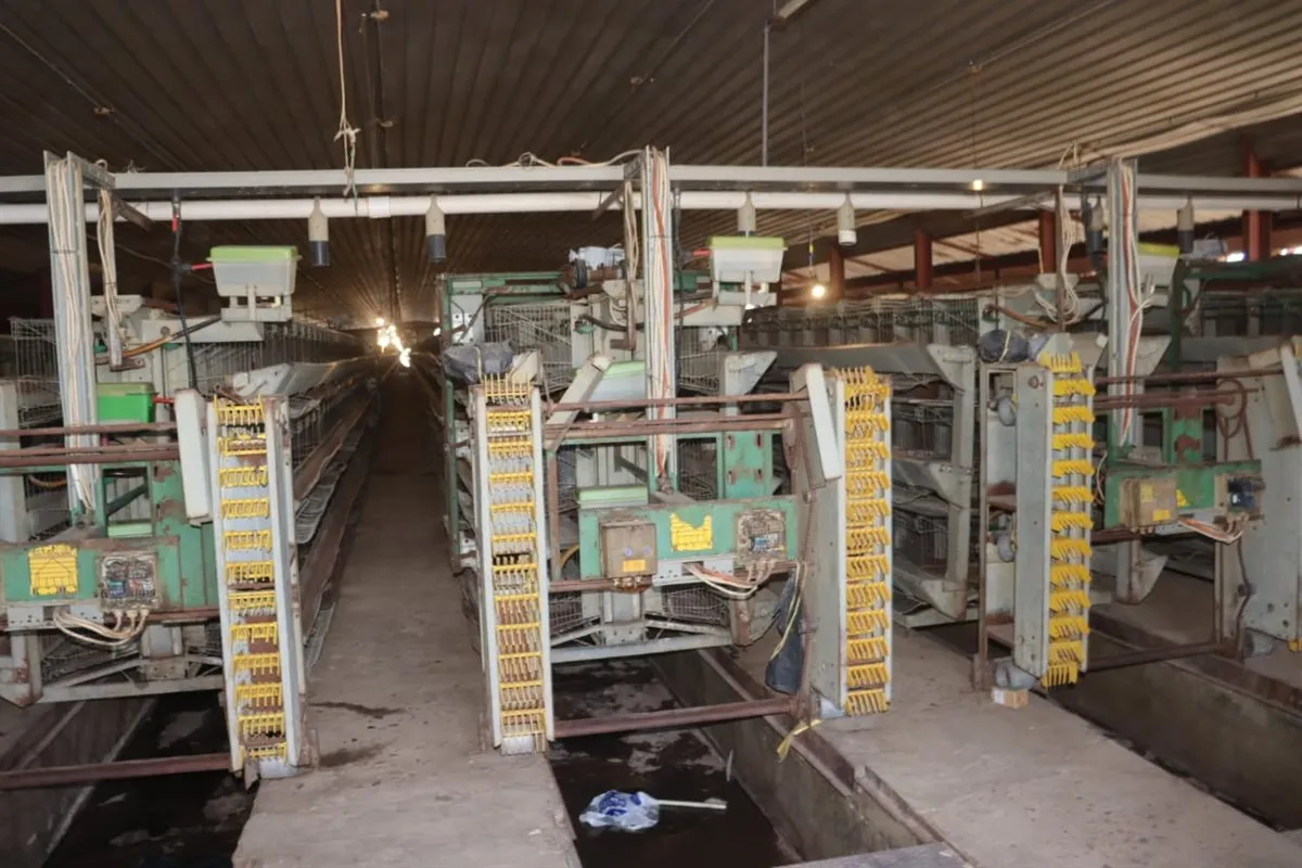 fc4b6853-0530-47f7-bd5a-21a13000a6b1