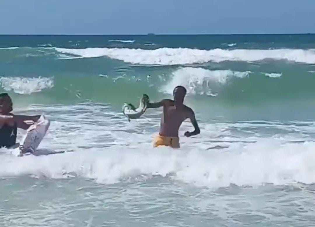 جانب من العثور على تمساح