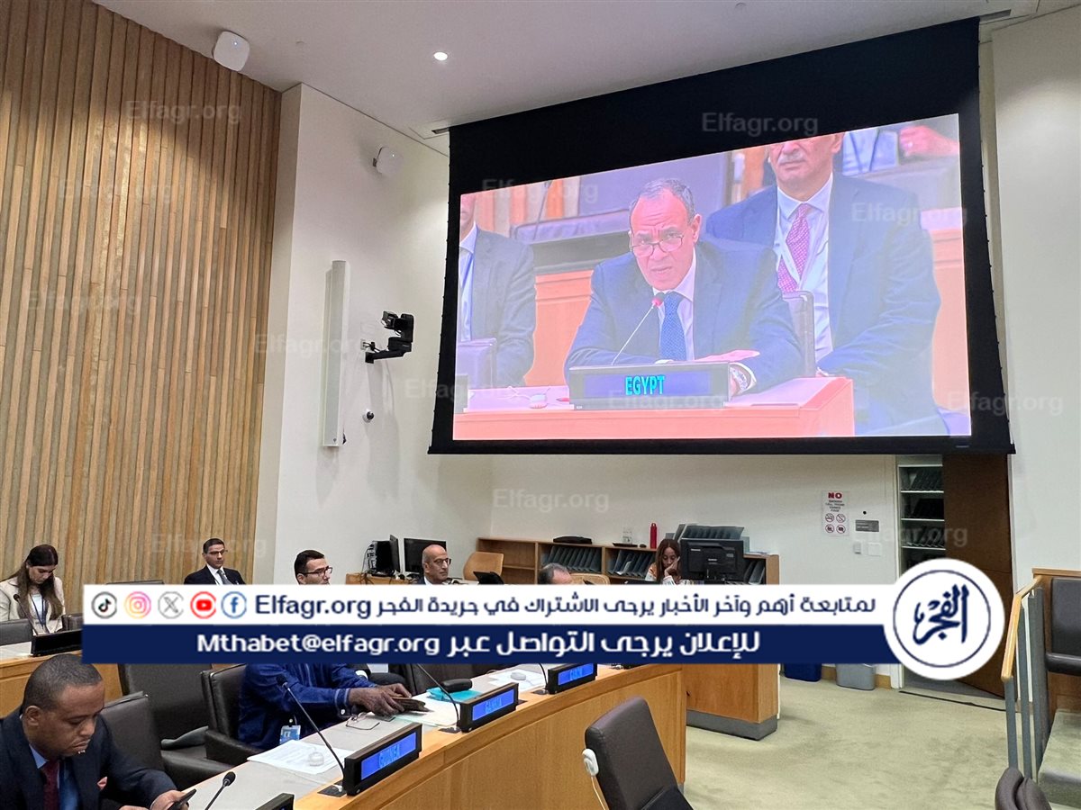 مشاركة الدكتور بدر عبد العاطي وزير الخارجية في الاجتماع التنسيقي لوزراء خارجية منظمة التعاون الإسلامي