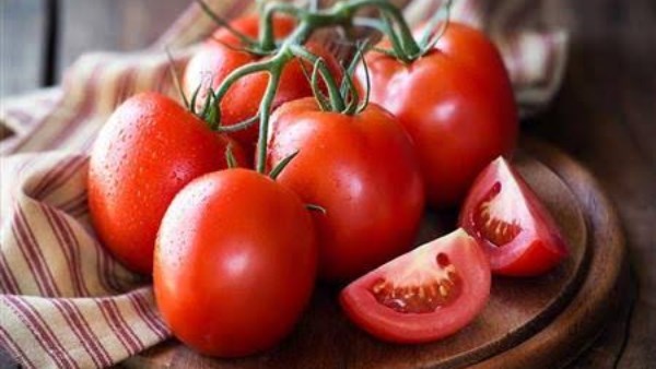 اسعار الطماطم