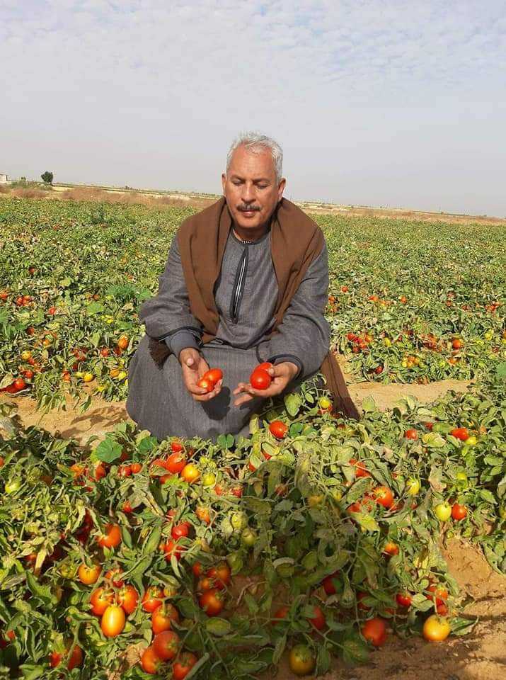 نقيب الفلاحين 