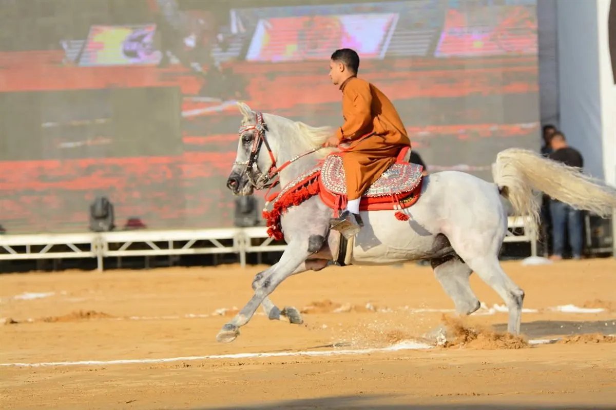 احد المشاركين العام الماضي