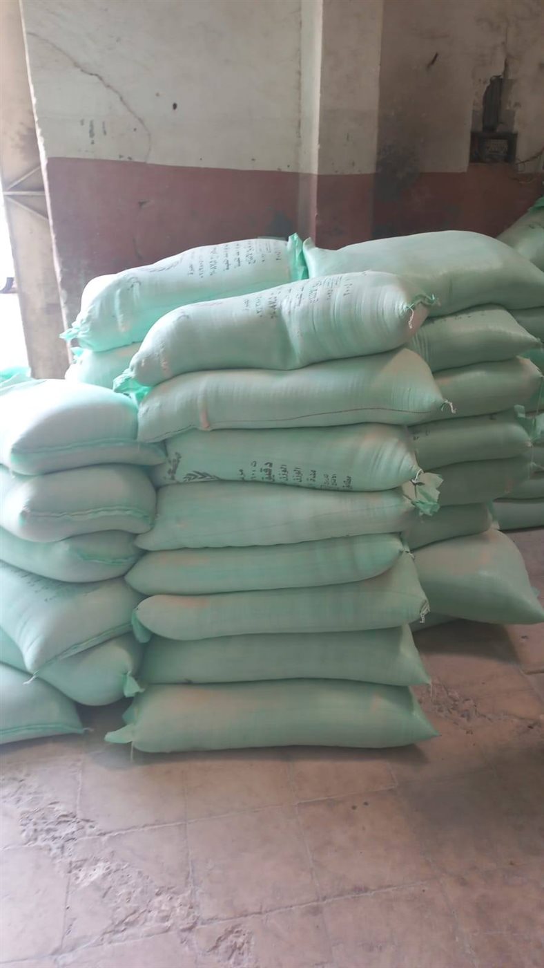 557757863_1145631897756694_301838956704065421_n