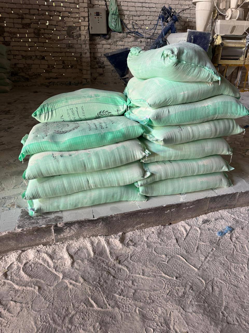 558444473_1145632021090015_6843185668912973191_n