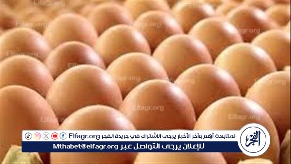 <strong>أسعار البيض اليوم</strong>