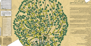 هل تنتمي لنسب الأشراف؟