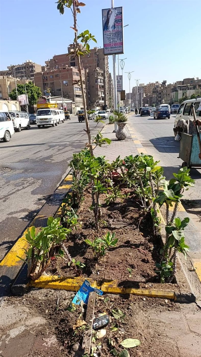 FB_IMG_1760449235399