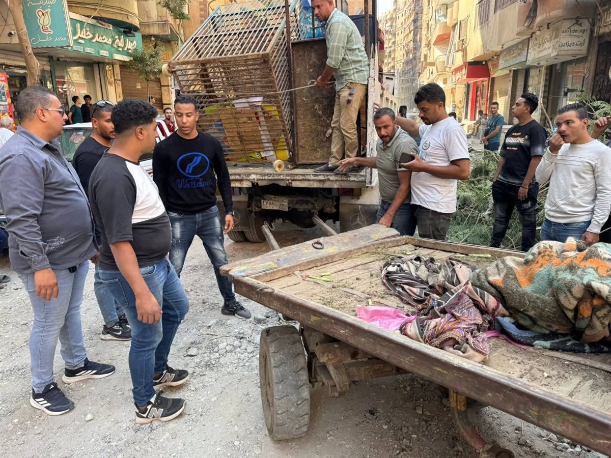 WhatsApp Image 2025-10-14 at 7.02.49 PM