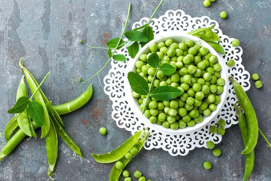 البسلة والرجيم: هل تساعد على إنقاص الوزن أم تزيده؟