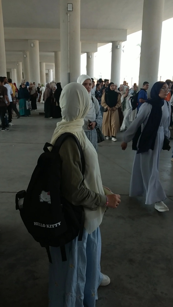 موقف عدلي منصور