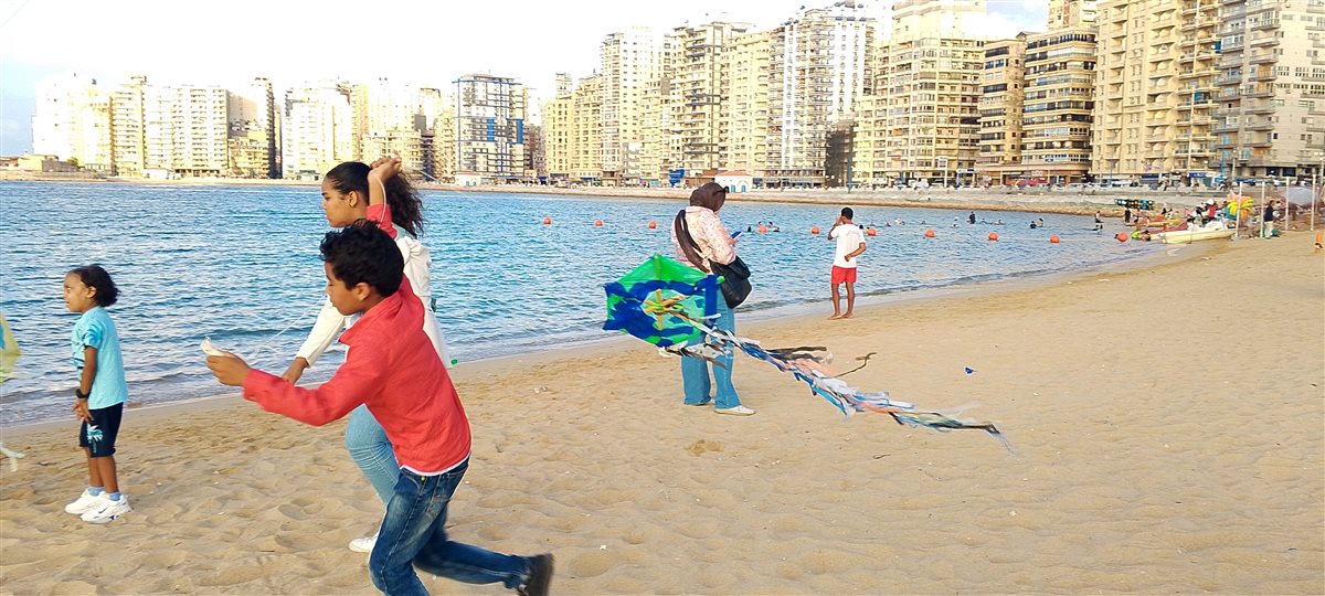 جانب من المهرجان