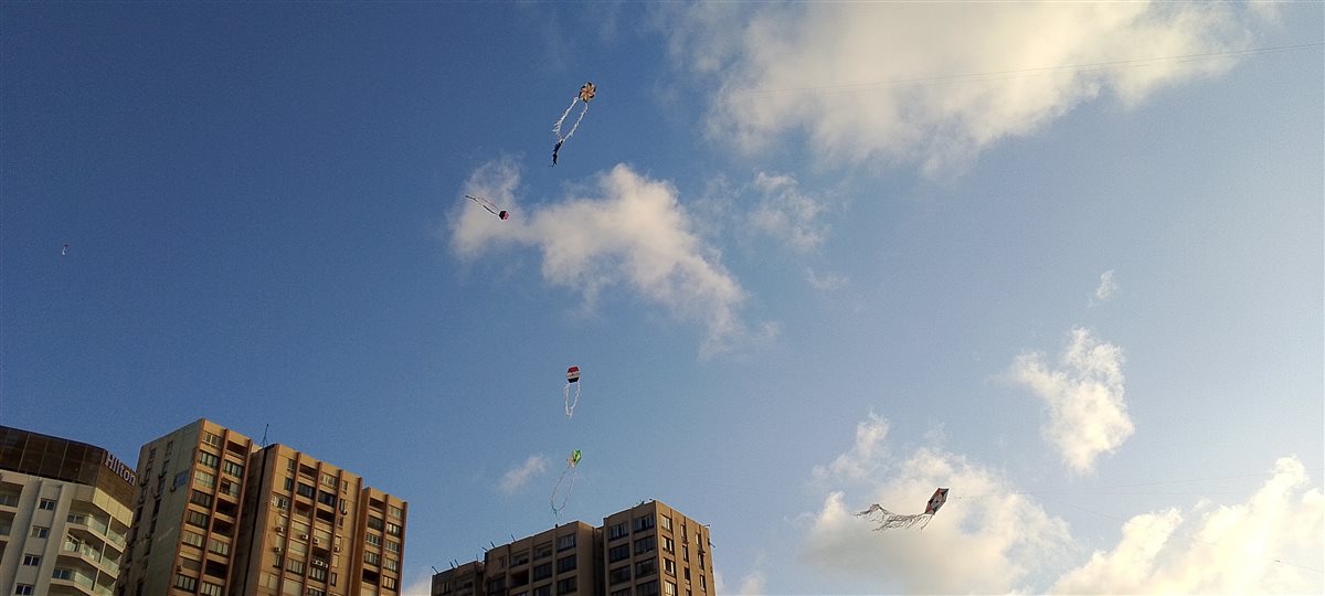 جانب من المهرجان