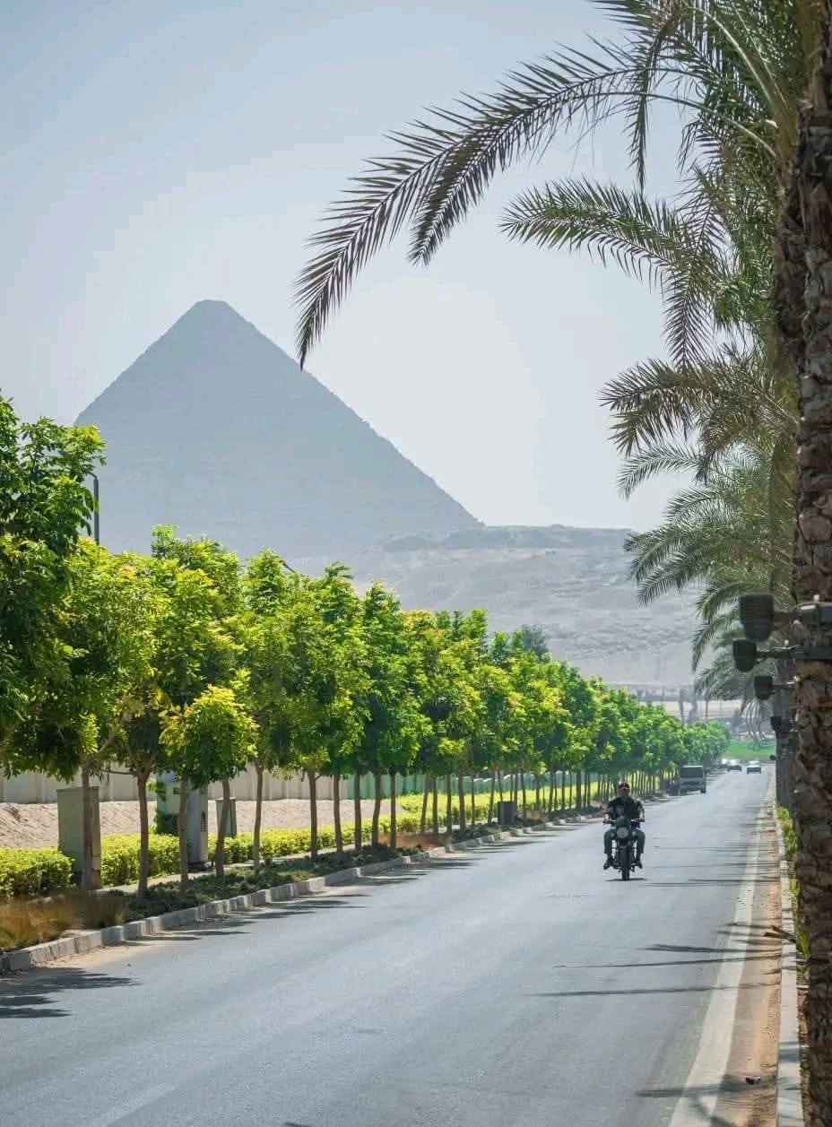 WhatsApp Image 2025-10-31 at 7.19.24 PM