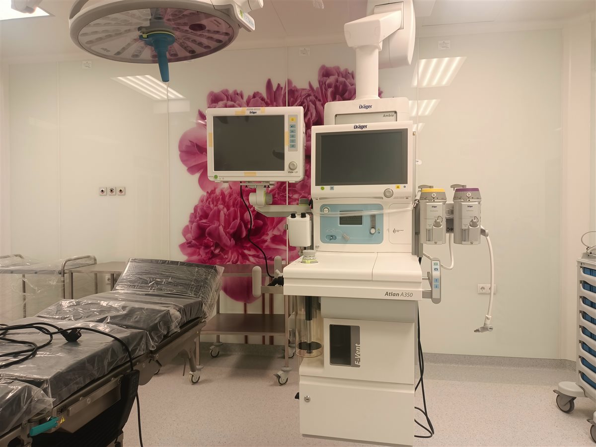 جانب من الزيارة