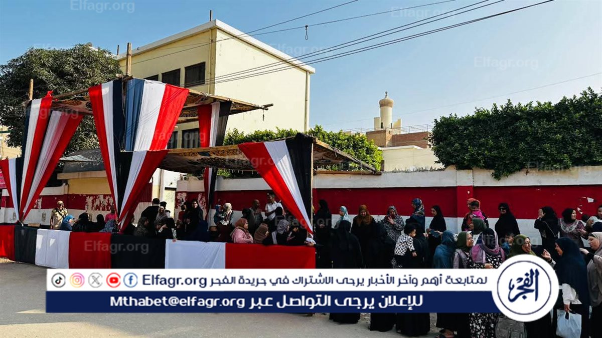 إقبال ملحوظ على لجان الانتخابات