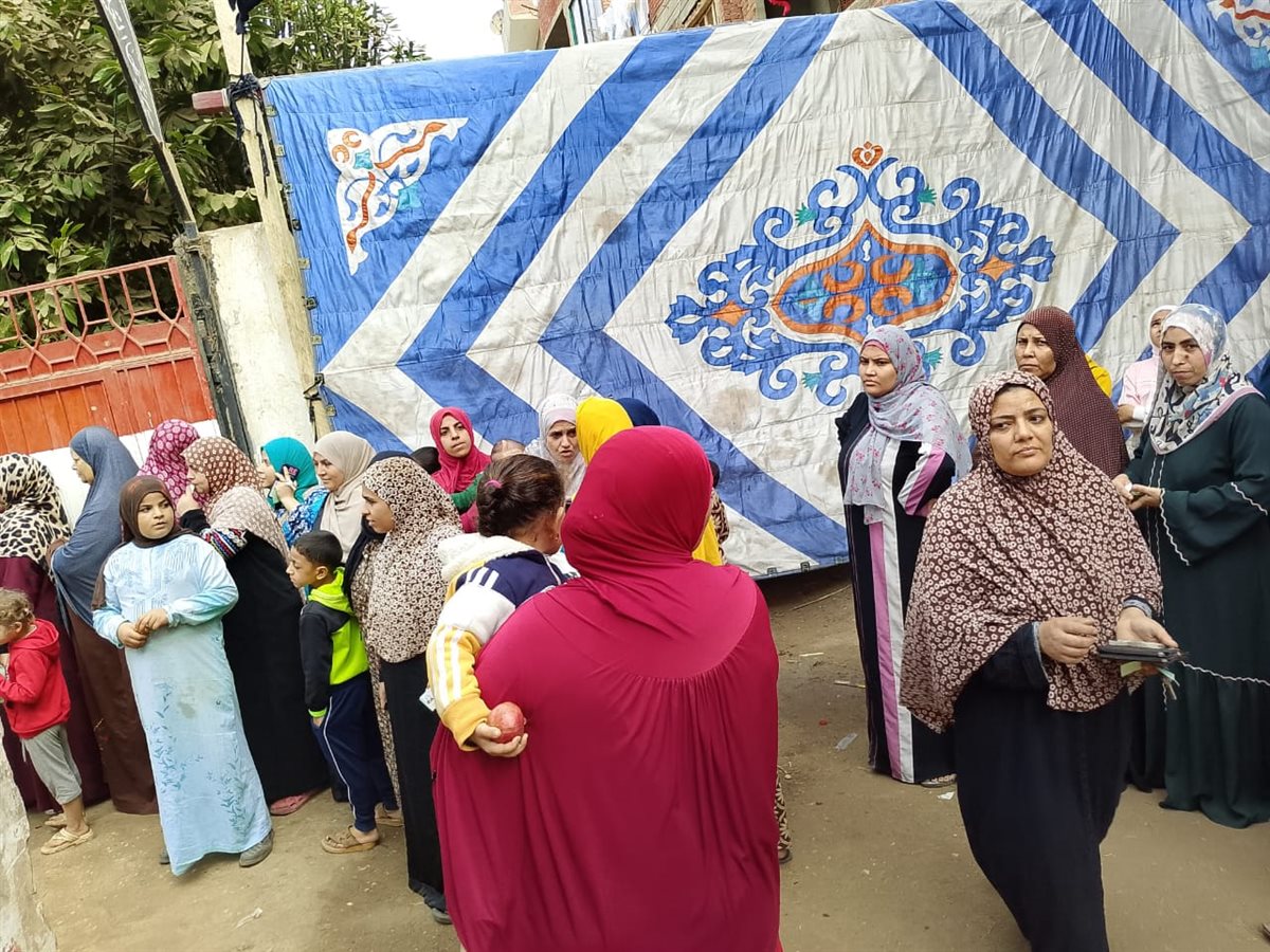 شبين القناطر