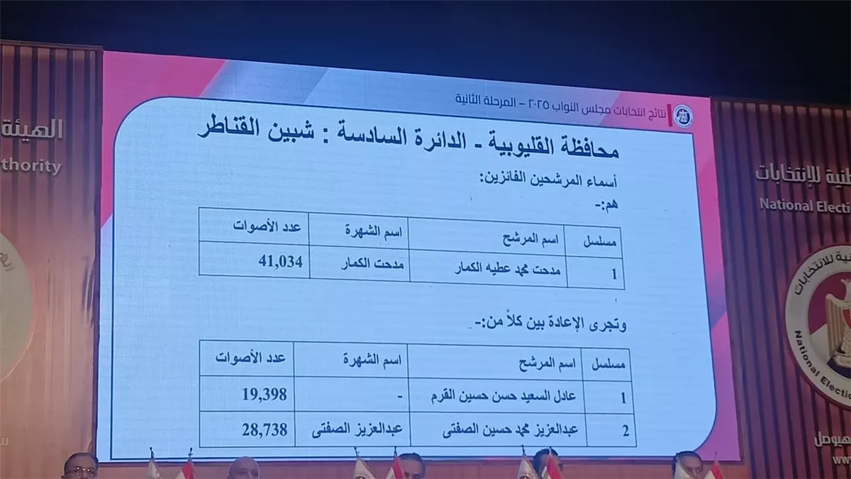 كشف نتائج 14 دائرة فردية في المرحلة الثانية لانتخابات النواب 2025