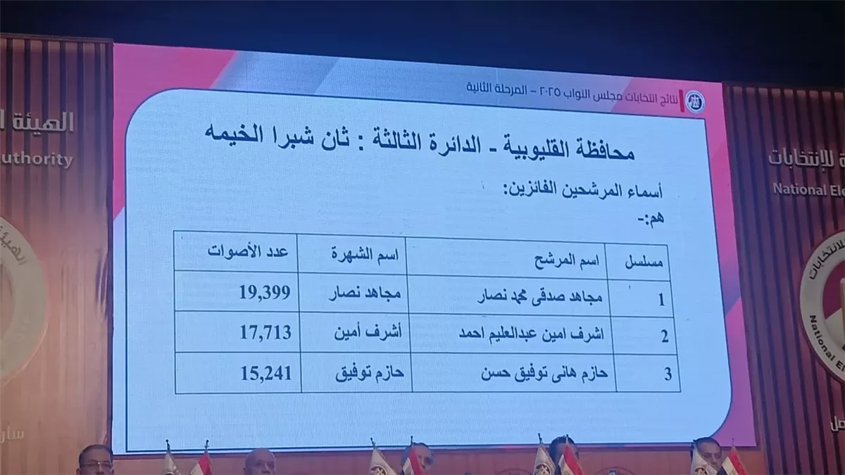 كشف نتائج 14 دائرة فردية في المرحلة الثانية لانتخابات النواب 2025