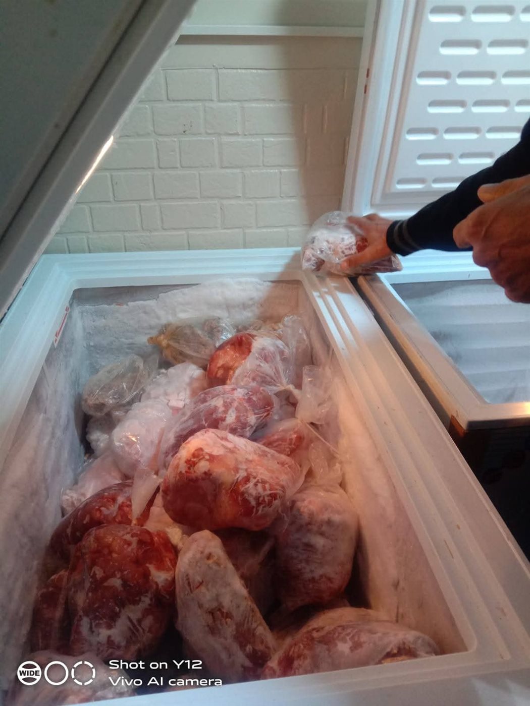 FB_IMG_1764769405473