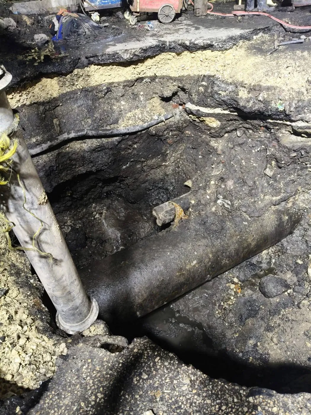 FB_IMG_1764776312852