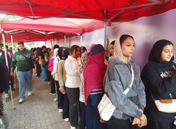 جانب من اللجان