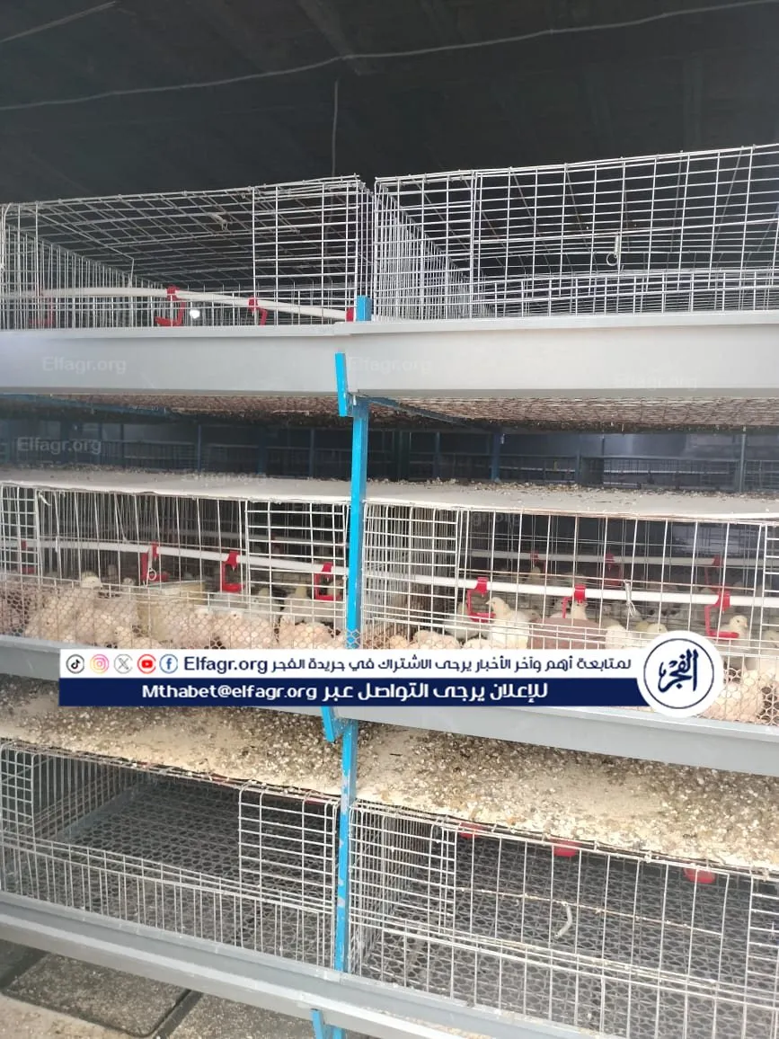 01e400f0-9e79-4fb8-8c75-7277bee1b2b2