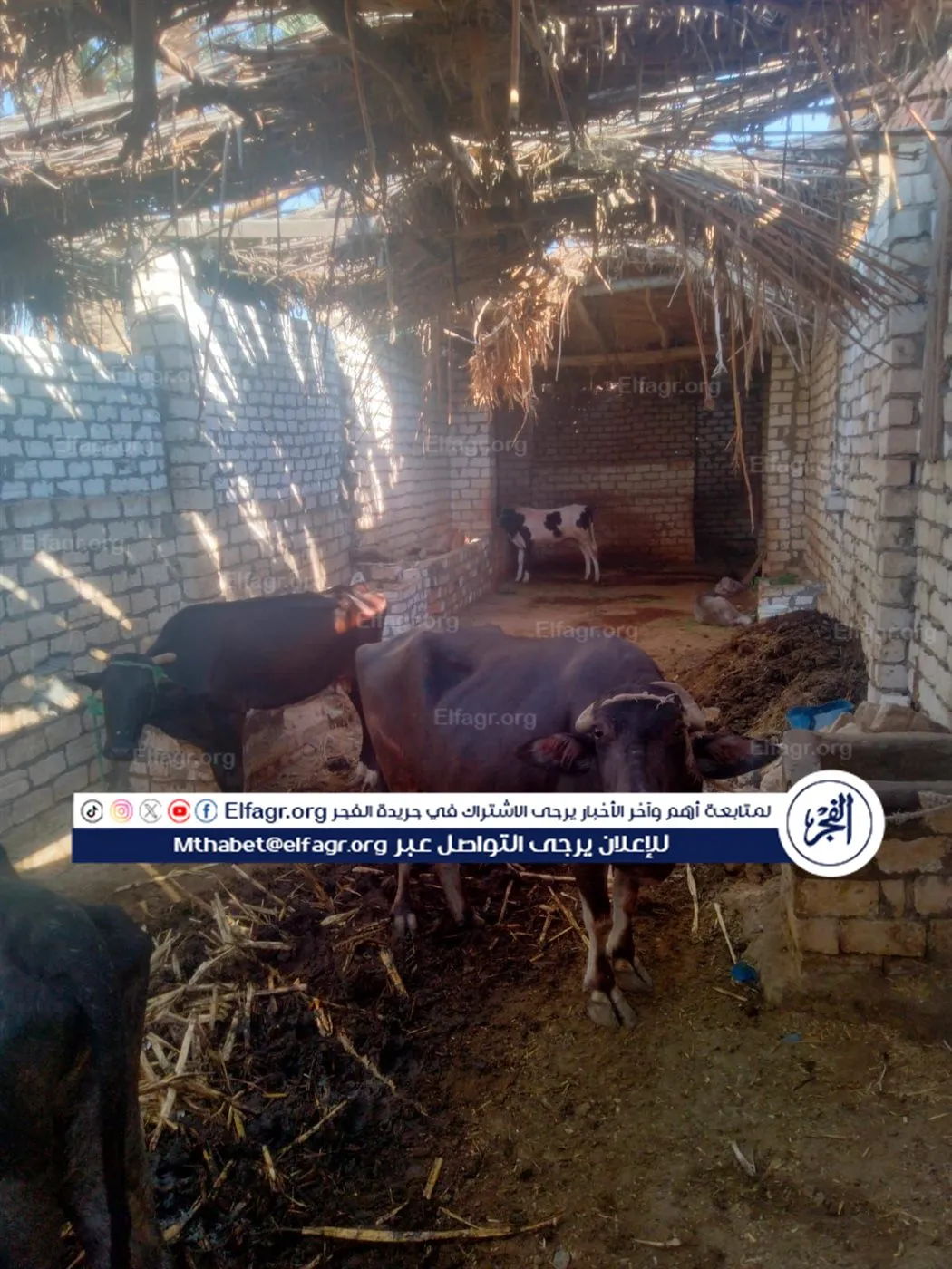 93b6f15a-5151-4602-9e43-88a9c2fe3465