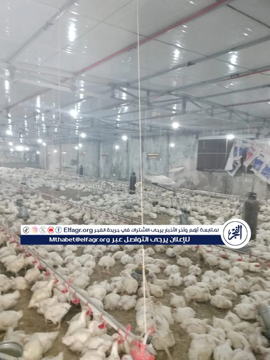 154cb652-1727-4dd8-a0f9-6adafb54faf4