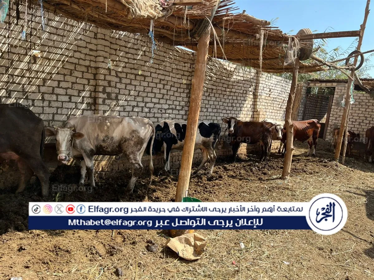 9344b3a9-5110-4444-ae92-5e35d42514ba