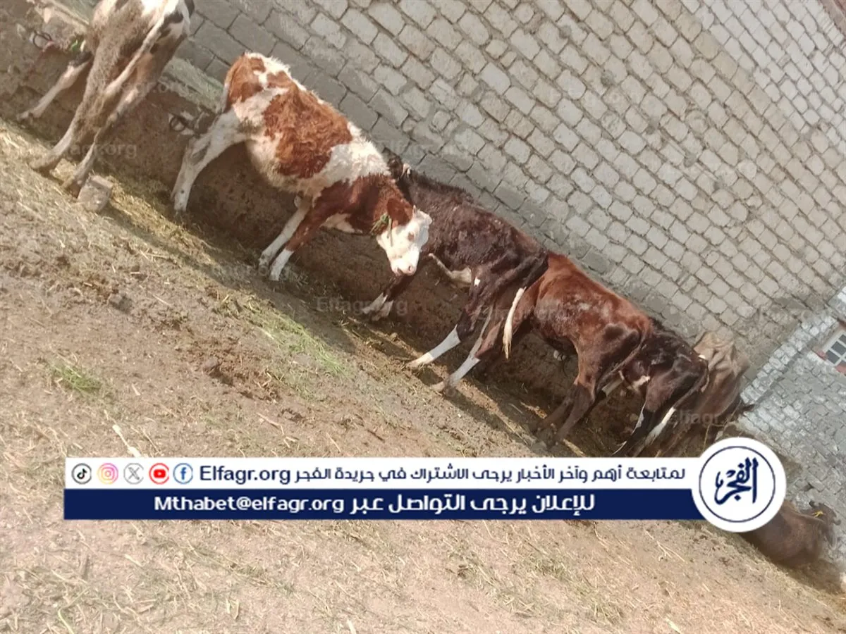 c5c1fc10-6f84-4a0f-a777-a2a5d856b098