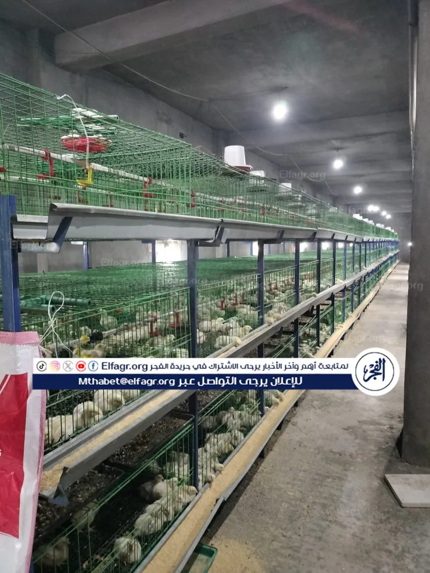 ec218945-6702-4e41-a595-24b7c7e857d6