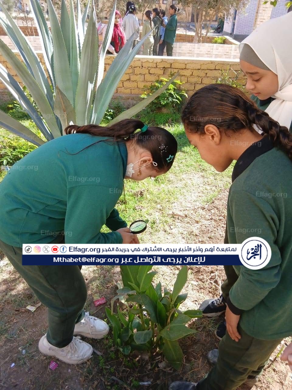 1cfd5ee9-0156-4936-851f-de5c86e69121