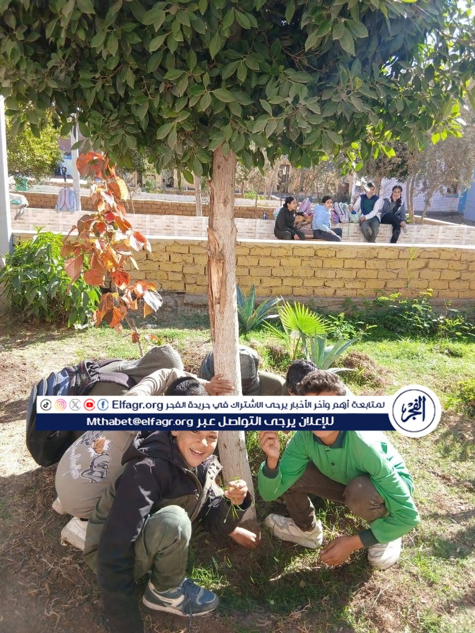 04efd6a9-7585-4335-8886-6b3cb2a46968