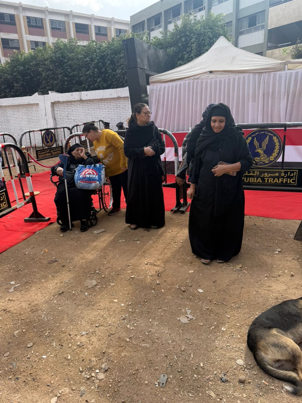 لجان الخصوص