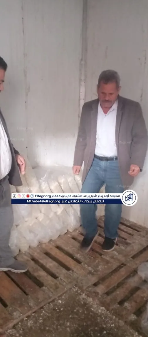 81c6fa06-8d9b-4982-9ce6-ed0f70843fff