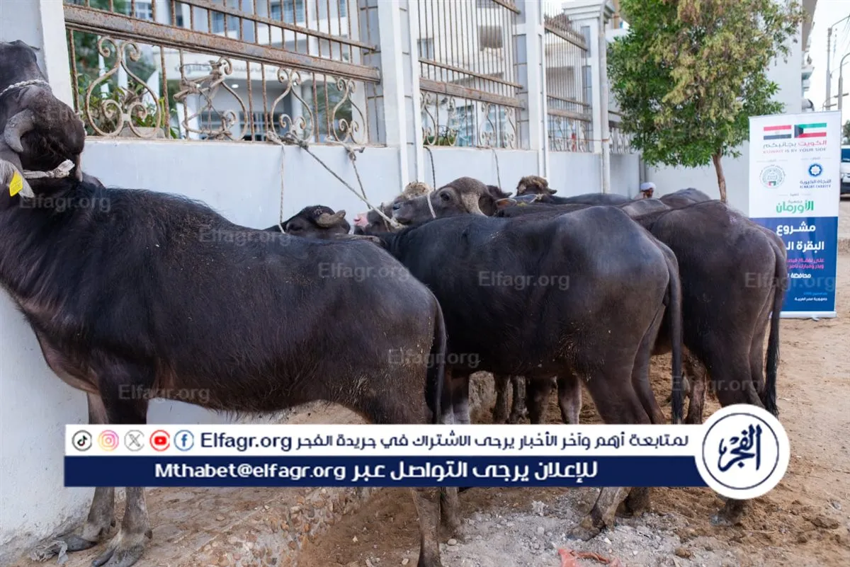 d2c353cd-ea6b-43f5-aee4-31b4a483a585