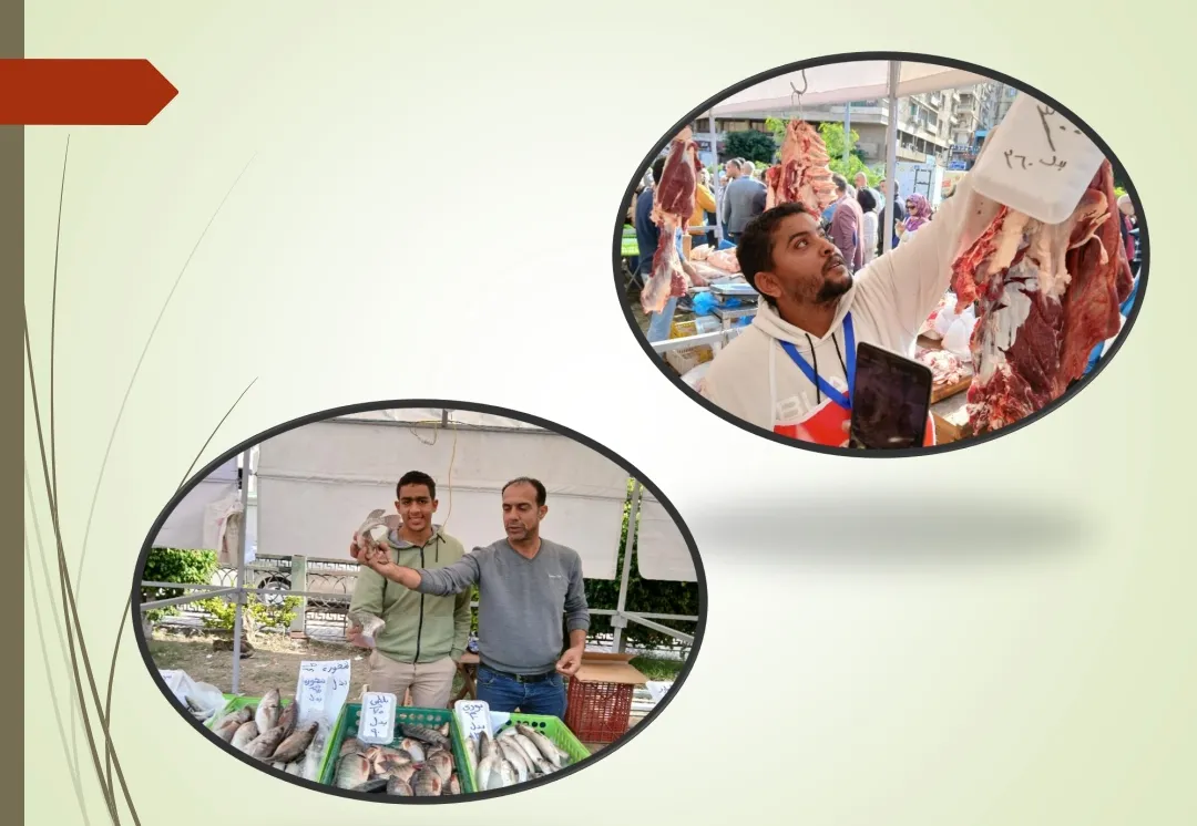 Screenshot_٢٠٢٥-١٢-٣٠-٢٠-٠٨-١٧-١٤_77aeb73a0a22f162ae11197ef29cc2b5