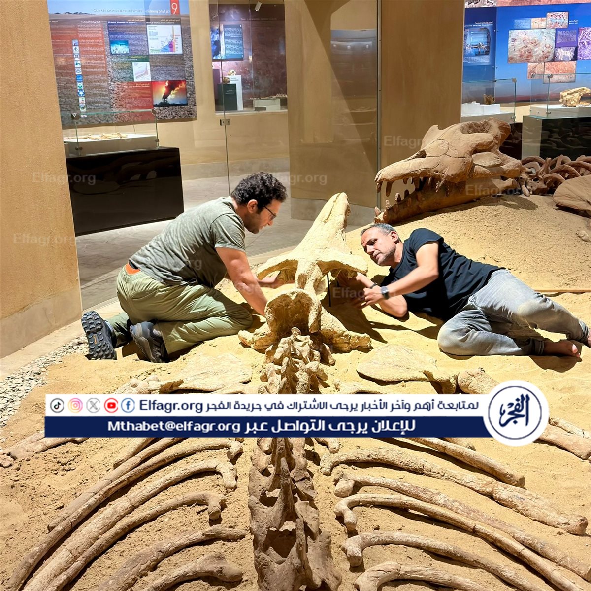 7d17cb79-7e7b-4854-a0bb-84a3894778b0