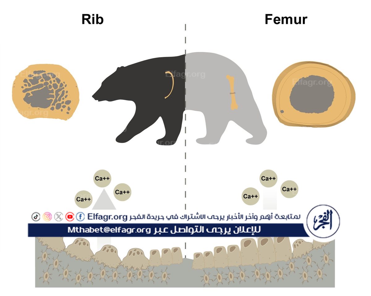 0f908ae8-c85f-4ba3-ae82-e3c79f10b67f