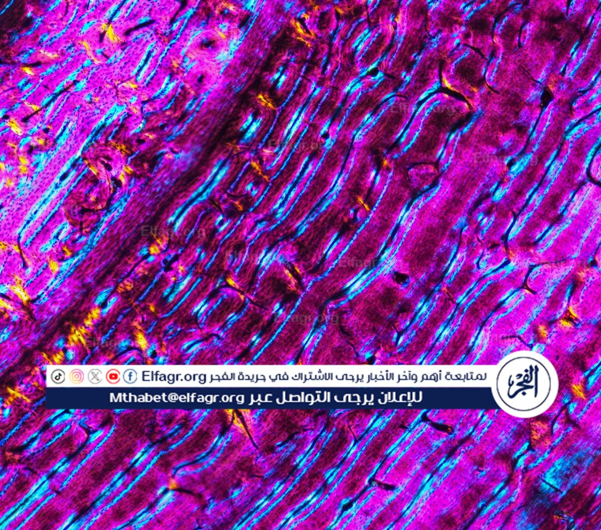 9238c65e-c260-4750-9751-0e7b1071a68d