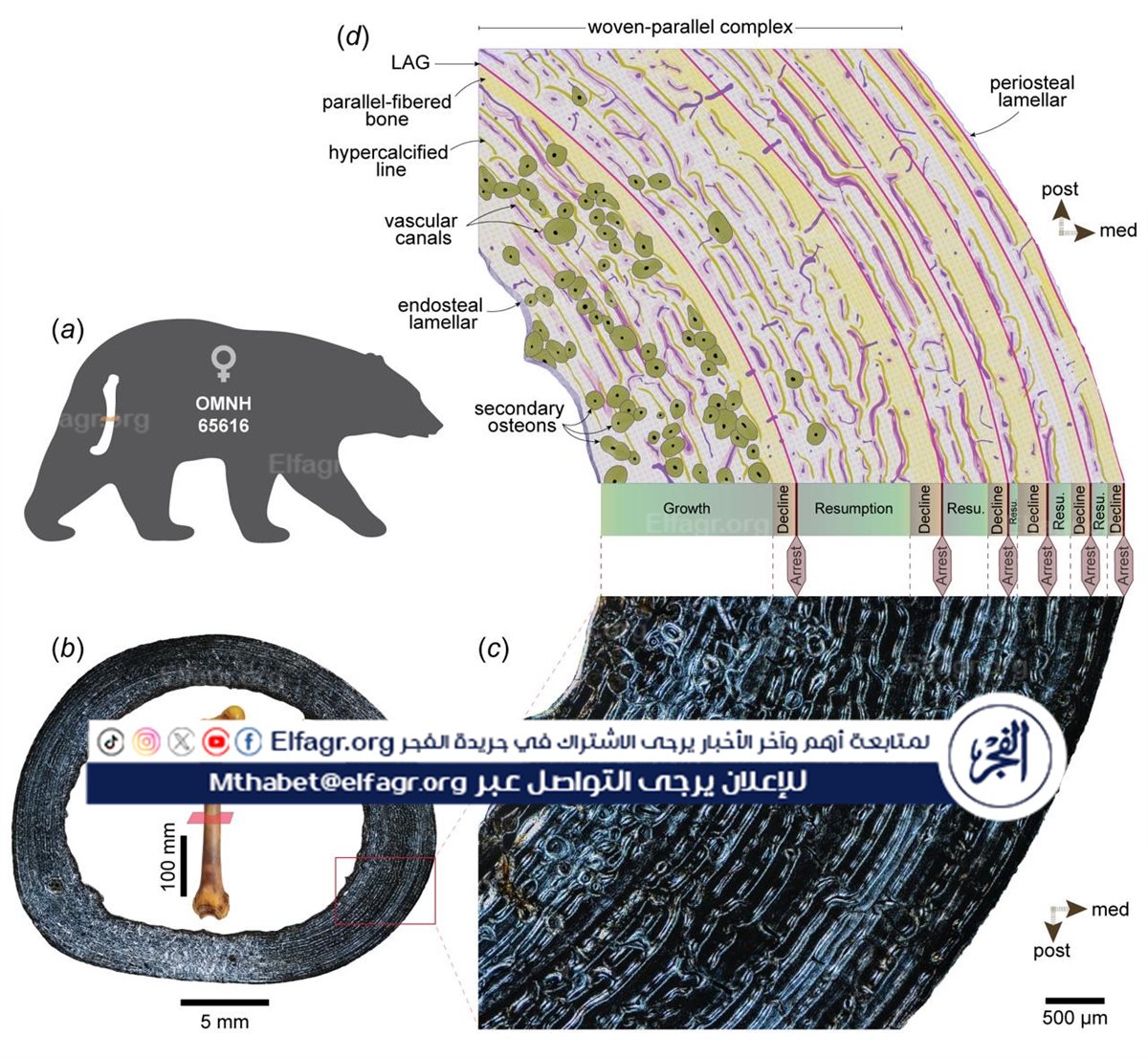 276048fa-9a5a-4bda-92a1-1b0957026bed