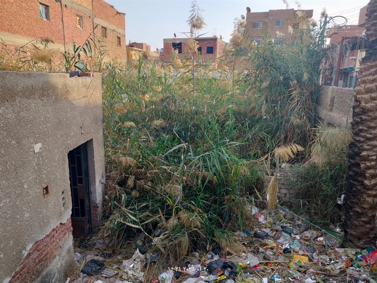 WhatsApp Image 2026-01-20 at 3.31.31 PM