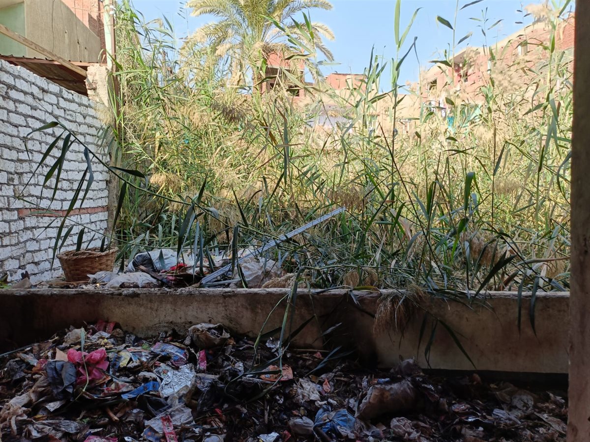 WhatsApp Image 2026-01-20 at 3.25.05 PM