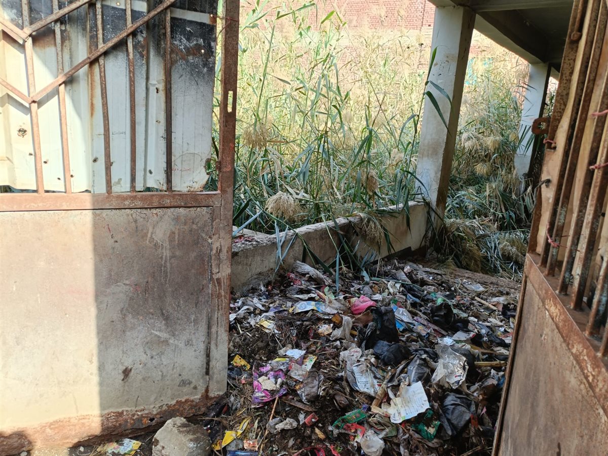 WhatsApp Image 2026-01-20 at 3.25.02 PM