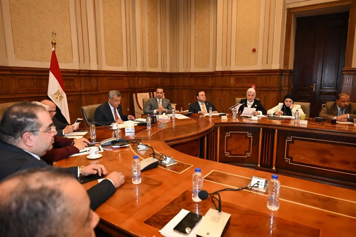 جانب من الاجتماع&nbsp;