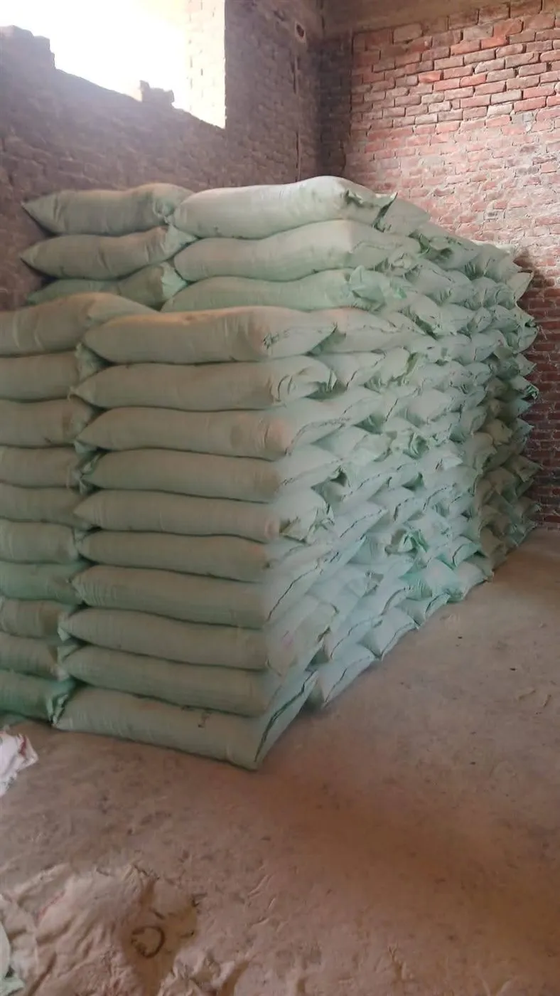 FB_IMG_1769785855544