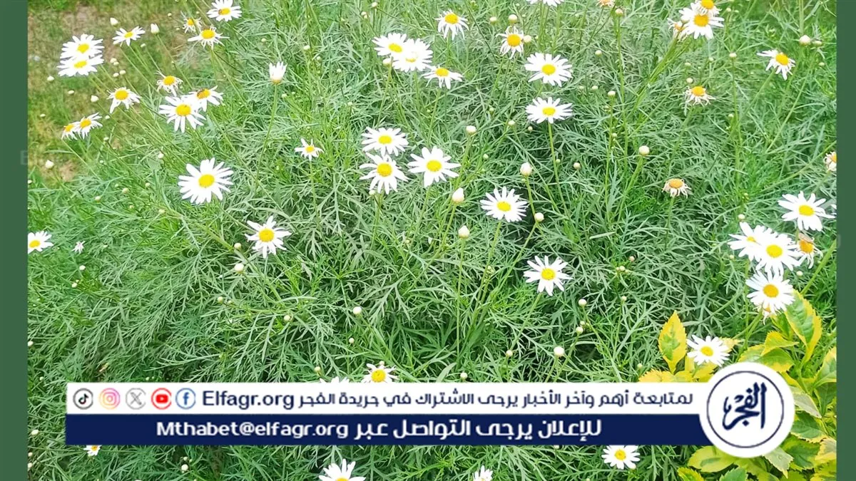 7c6e502d-6a43-4fa9-ba1a-2f67187eb64b