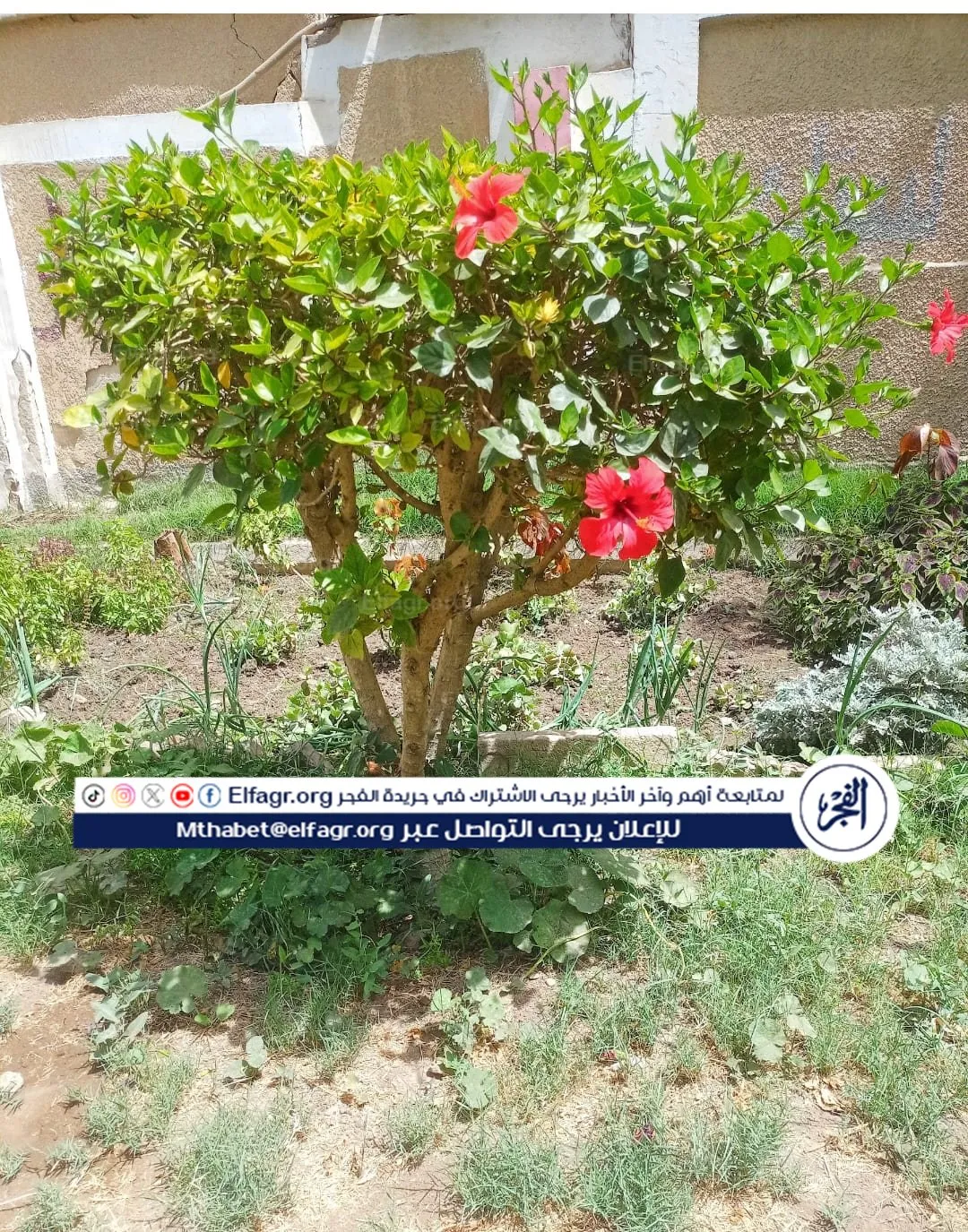 f3144304-0c26-42f5-b031-2fc44a8a6fc2