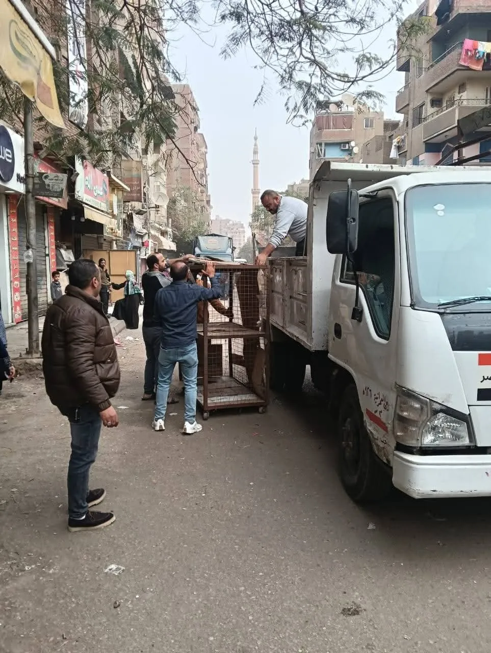 FB_IMG_1770651449258