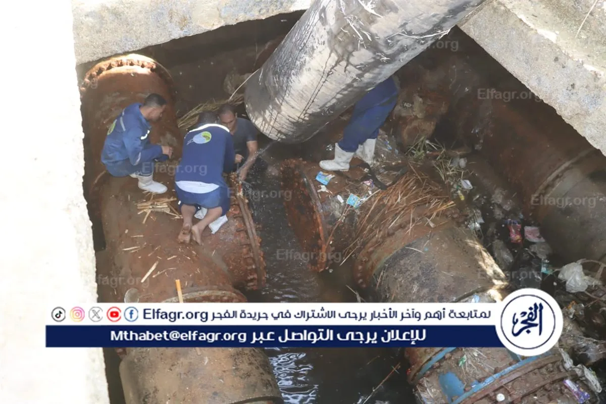 499d3fbe-8415-46cf-b4e1-78893a1a951b